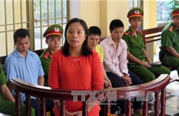 Tuyên phạt các bị cáo trong vụ khai thác vàng trái phép tại Quảng Nam 